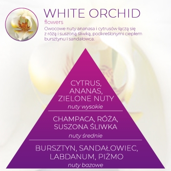 <B>WHITE ORCHID</B> wkład zapachowy do Infinity Home